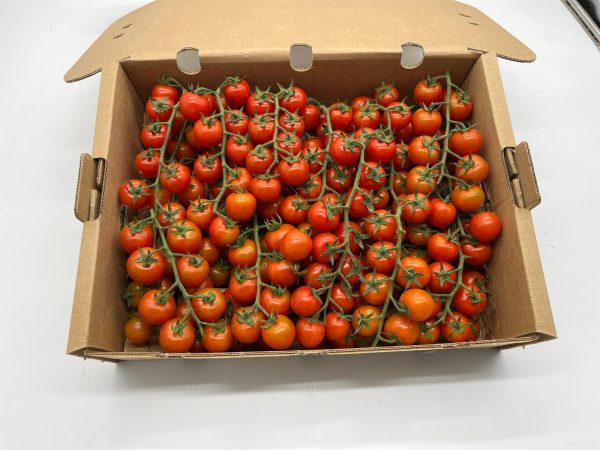 TOMATE CHERRY RAMA (3kg)