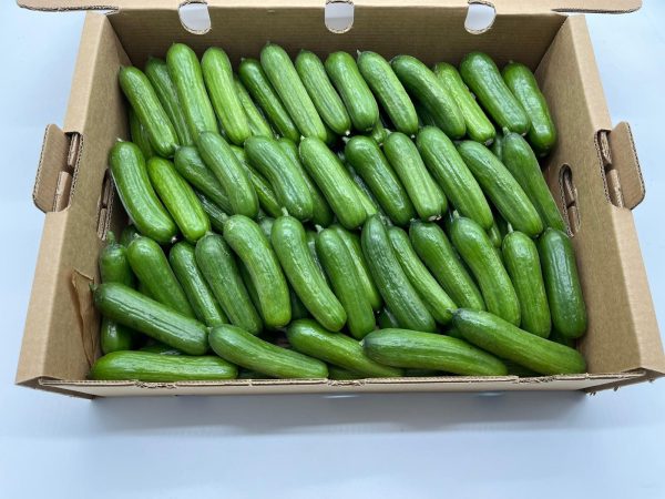 Pepino Snack (3,5kg)